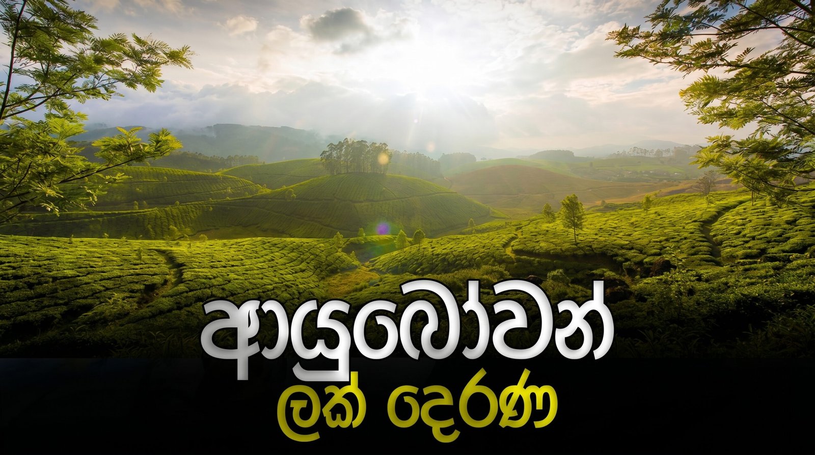 ආයුබෝවන් ලක් දෙරණ
